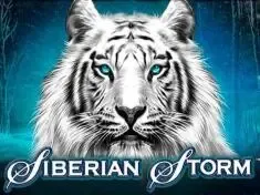 678ab Login - Como Acessar Sua Conta Rapidamente 🍀